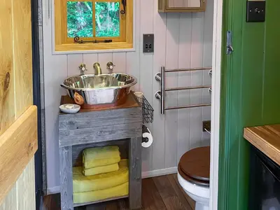 a bathroom with a sink and a toilet at The Goose Nest in Cardinham