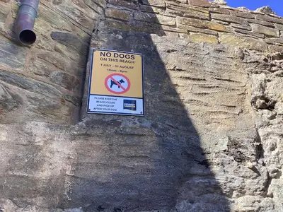 a no dogs on the beach sign on a wall at Charming Fishing Cottage in Polruan