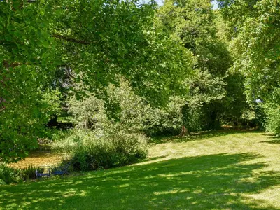a lush green field with trees and grass at The Shippen - Uk49830 in Callington