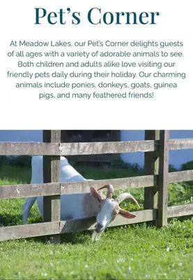a poster of a goat standing next to a fence at Calm View in St Austell