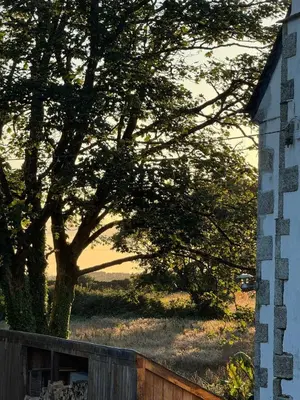 a tree and a fence next to a house at Ocean Heart Studio- Luxury, Rural Retreat in Wendron