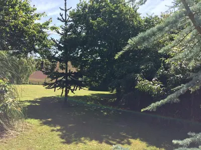 a garden with a tree and some grass and trees at Trecorme Barton in Quethiock