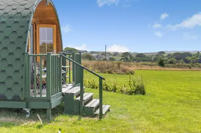 a small green house with stairs in a field at 1 Bed in Four Lanes oc-s32768 in Carnbrea