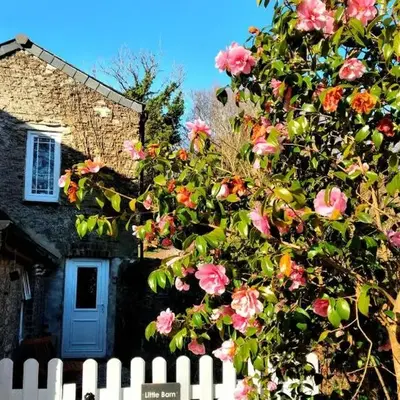 Cute Cornish Cottage
