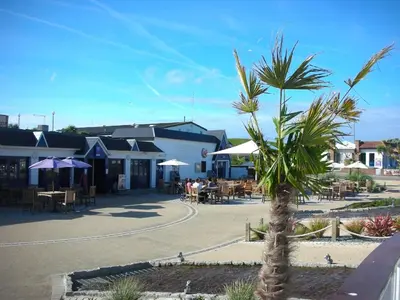 a palm tree in the middle of a street at Chalet 150, Perran Sands in Perranporth