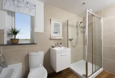 a bathroom with a shower and a toilet and a sink at Little Tresevens in Polzeath