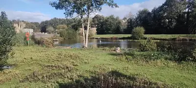 a river with a tree in the middle of a field at Peace Haven in Par