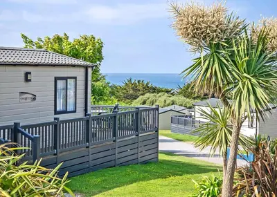 a house with a fence and a palm tree at Praa Sands Holiday Park in Praa Sands