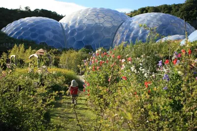 a person riding a bike through a garden with domes at 1 Bed in Menheniot oc-t29268 in Menheniot