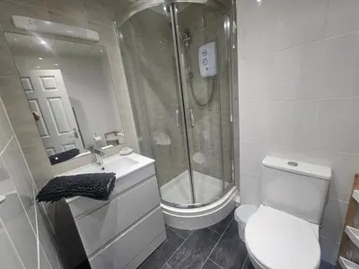 a bathroom with a shower and a toilet and a sink at Newquay Coast and Cabin in Saint Columb Road Station