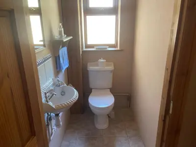 a small bathroom with a toilet and a sink at Poldurn in St Austell