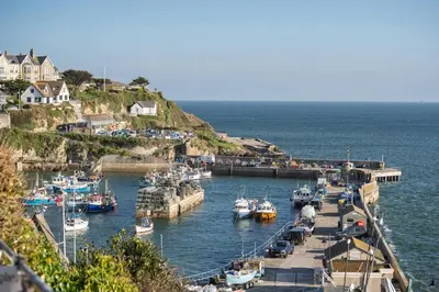 a bunch of boats are docked in a harbor at Beach-Style Flat 2 Min Walk to Tolcarne Beach in Newquay