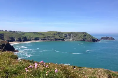 a view of a beach with flowers on a hill at The Barn in Camelford