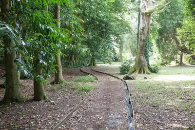 a path in the middle of a forest with trees at Trewhiddle Cottage 41 - 1 Bedroom Cottage in St Austell