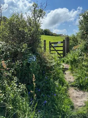 a field with a fence and a dirt trail at The Stable Near St Ives Beaches Dog Friendly in St Ives