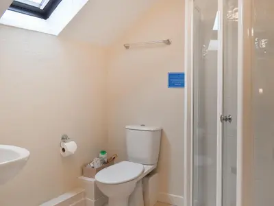 a bathroom with a toilet and a shower at Haybarn - Uk49019 in Liskeard