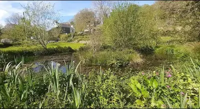 a garden with a pond and some plants and trees at Cottage - Sleeps 2 - River Lynher walks & fishing in Linkinhorne