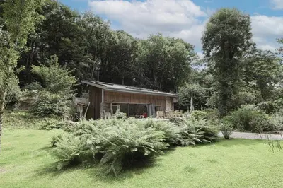 a small house in a yard with trees and bushes at Dippers woodland setting at the Luxulyan Valley in Luxulyan