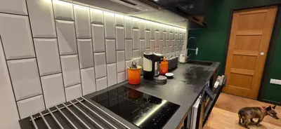 a kitchen with a dog standing on the counter at Hove Too in Saint Day
