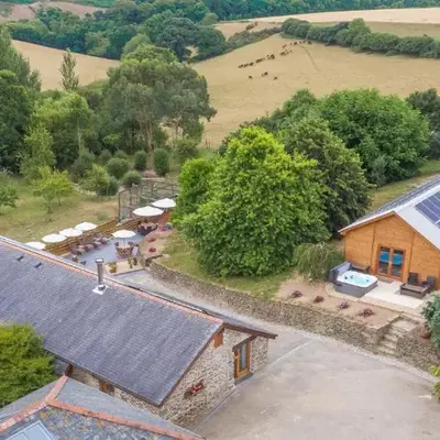 The Vineyard