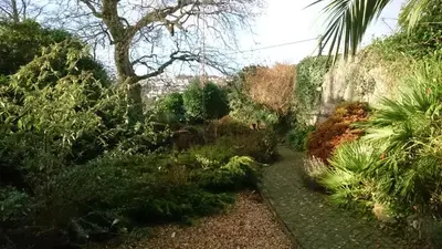 a garden with plants and trees and a path at Bankside Bed & Breakfast in St Austell