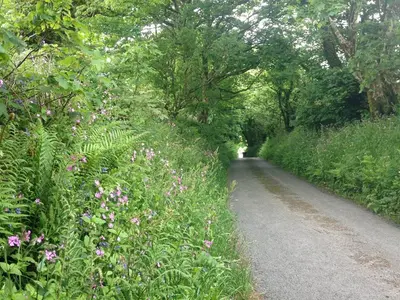 a path with flowers on the side of a road at The Old Wagon House in Saint Clether