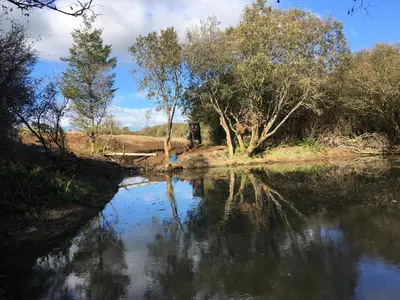 a body of water with trees and a bridge at The Old Wagon House in Saint Clether