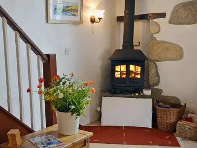a living room with a fireplace and a table with flowers at Chywood Barn in Carleen