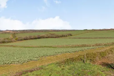 a large field of green crops with a blue sky at The Litte Hideaway in Saint Columb Minor