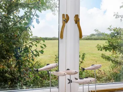 a window with birdsachiachiachiachiachi at Bolitho's Retreat in Saint Martins Green