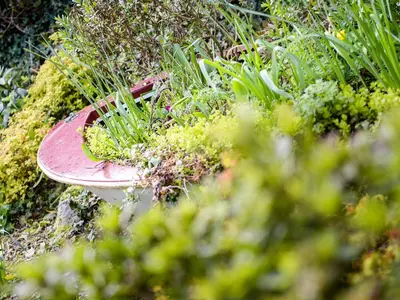 a red bird bath in a garden with plants at The Snug in Bugle