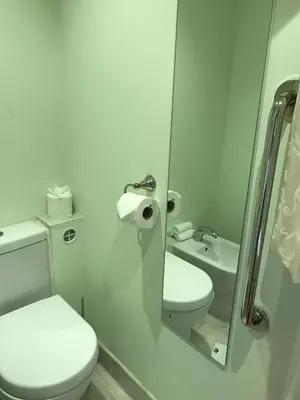 a bathroom with a toilet and a sink and a mirror at Orchard Manor in Probus