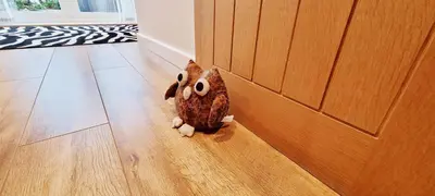 a stuffed animal sitting on the floor next to a door at Romantic Hot Tub Breaks Marthys House Looe Polperro Talland Bay in Looe