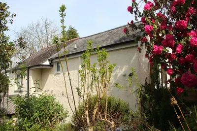 a house with pink flowers in front of it at Merrivale Barn in Constantine