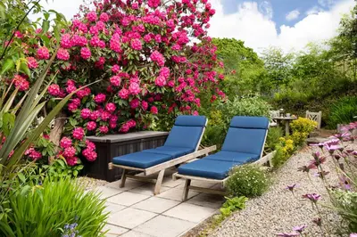 two blue chairs in a garden with pink flowers at Merrivale Barn in Constantine