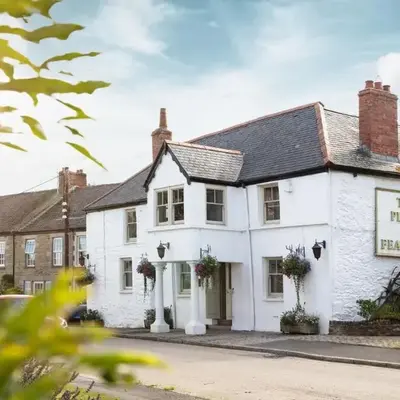 The Plume of Feathers