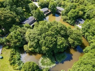 an aerial view of a river with trees at 8 Streamside in Looe