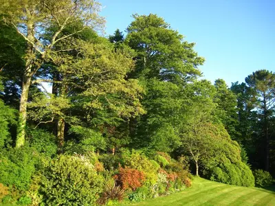 a garden with trees and a grass field at Isolda's - Ukc3905 in Lostwithiel