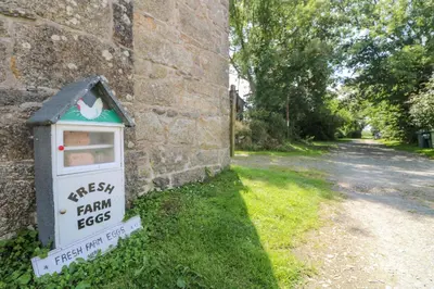 a mailbox on the side of a brick building at Mill in Porthleven