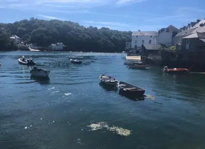a group of boats sitting in a body of water at Fowey Landing in Fowey