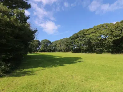 a large grass field with trees in the background at Elm in Truro
