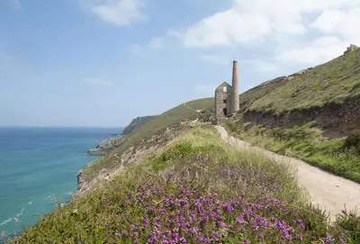 a path on a hill next to the ocean with purple flowers at Sea Folly in Perranporth
