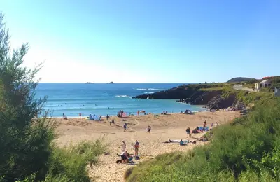 a group of people on a beach near the ocean at STYLISH, BEACHSIDE apartment, sea views in St Merryn