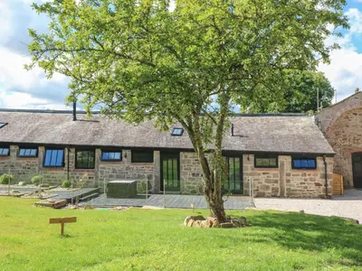 a tree in the grass in front of a building at Nana's Cottage in Camborne