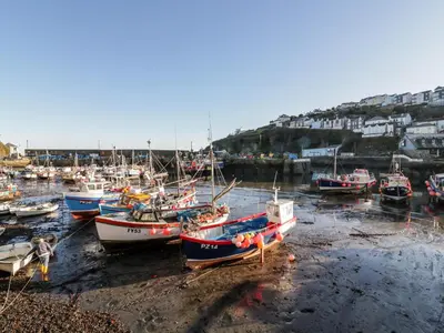 a group of boats docked in a harbor at Midships in St Austell