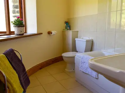 a bathroom with a toilet and a sink at Round House - Uk12083 in Saint Endellion