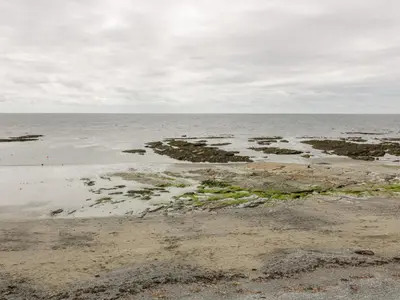 a beach with rocks and algae in the water at The Bolt Hole in Torpoint