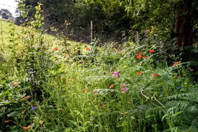 a garden with lots of plants and flowers at Luxury Coastal Shepherds Hut with hot tub, dining dome & a 5 Minute Walk to Pubs and Village in Polperro