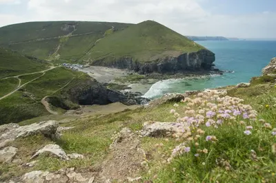 a view of a beach with flowers on a hill at Endymion in Porthtowan