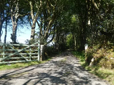 a tree lined dirt road with a fence at Ash Cottage in Launceston